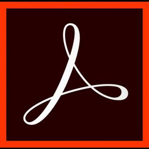 Adobe Acrobat Standard DC for Teams - 2847882800