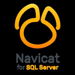 Navicat for SQL Server 12 (Windows) - 2850451639