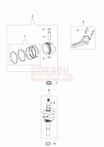 Wa korbowy, tok, piercienie, korbowd, oysko - kosiarki spalinowej Oleo- Mac G 44 TK COMFORT PLUS (K500)- schemat - 2862456247