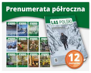 Las Polski  - 2860519400