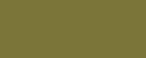 Farba LifeColor UA222 Olive Drab Fs 34088 - 2824063123