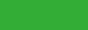 Farba AmeriColor Soft Gel Paste MINT GREEN 133ml - 2824064041