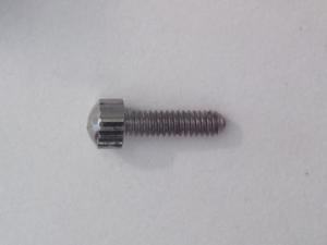 Czesc zamienna: Adjustment Screw for BD128, BD128P, BD800 - 2860515900