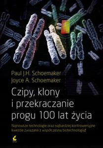 Schoemaker Czipy kolony i przekraczanie progu 100 - 2868646264