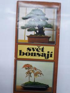 SVET BONSAJI Drzewko bonsai 21 pocztwek karnet - 2868646856