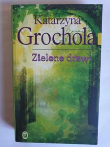 Zielone drzwi Katarzyna Grochola - 2868659857