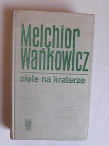 Ziele na kraterze Melchior Wakowicz PAX - 2868661506