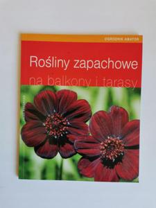 Roliny zapachowe na balkony i tarasy - 2869498777