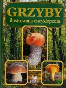 Grzyby ilustrowana encyklopedia Vladimir Antonin - 2876384053