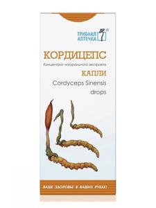 Kordyceps Krople, Cordyceps Sinensis - 2872470053