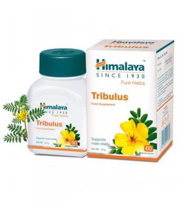 Gokshura (Tribulus Terrestris), Himalaya Herbals, 60 kapsuek - 2877839911