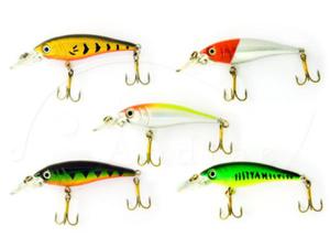 Woblery SPRO Cr.Minnow 5,5cm waga 4g zestaw 5 szt. - 2832523057