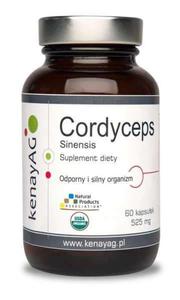 Cordyceps - 60kaps - Kenay - 2866430284