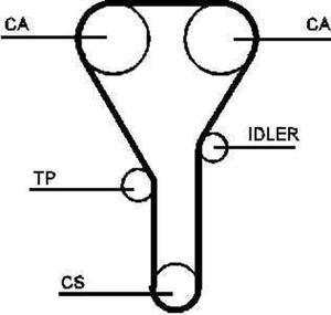 Pasek rozrzdu Ford Probe 135RPH+254H - 2825579020