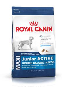 Royal Canin Maxi Junior Active 15kg - 2498296662