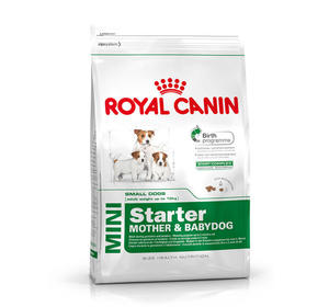 Royal Canin Mini Starter Mother & Babydog 1kg - 2498296714