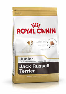 Royal Canin Jack Russell Junior 500g - 2498296615