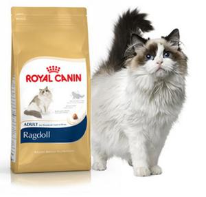 Royal Canin Ragdoll Adult 2kg - 2498296748