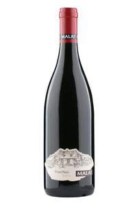 Weingut Malat, Pinot Noir Satzen, Dolna Austria, Austria - 2869010927