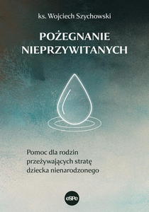 Poegnanie nieprzywitanych Pomoc dla rodzin przeywajcych strat dziecka nienarodzonego - 2869418692