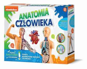 Zestaw naukowy Anatomia Czowieka Russell - 2845128988