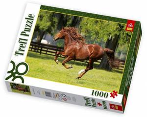 Puzzle 1000 el. Galop konia TREFL - 2845958113