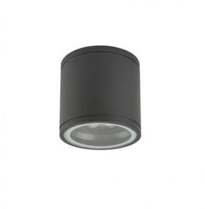 Adela Midi lampa sufitowa elewacyjna 1-punktowa okrga M1455 DG