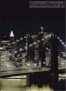 Fototapeta 97331 New York at night - 2827567852