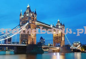 Fototapeta na flizelinie 959 Tower Bridge - 2827578362