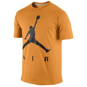 Jordan Jumpman Air Reflect T-Shirt - 2648737625