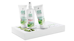 Aloe Vera Box - 2827406059