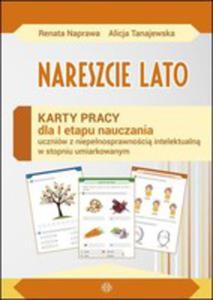 Nareszcie Lato Karty Pracy Sztywna Teczka - 2857271679