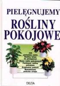 Pielgnujemy Roliny Pokojowe