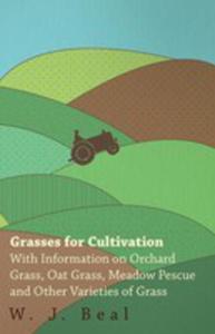 Grasses For Cultivation - With Information On Orchard Grass, Oat Grass, Meadow Pescue And Other Varieties Of Grass - 2854849023