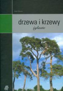 Drzewa I Krzewy Iglaste - 2856567565