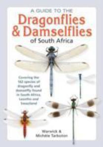 Field Guide To Dragonflies And Damselflies Of South Africa