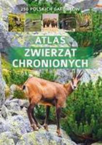 Atlas Zwierzt Chronionych W Polsce - 2847671890