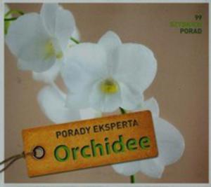 Orchidee Porady Eksperta - 2839680580