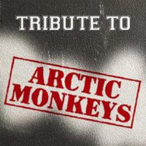 Tribute To Arctic Monkeys - 2839310232