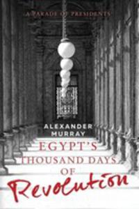 Egypt's Thousand Days Of Revolution - 2852939023