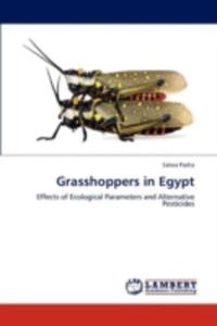 Grasshoppers In Egypt - 2857127145
