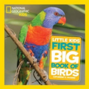 Little Kids Big Book Of Birds - 2855102756