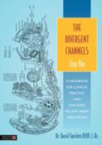 The Divergent Channels - Jing Bie - 2857043875