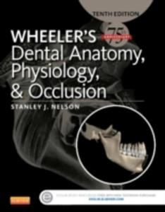 Wheeler's Dental Anatomy, Physiology And Occlusion - 2840003780