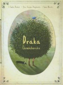 Draka Ekonieboraka - 2857033500