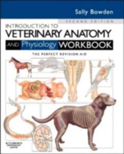 Introduction To Veterinary Anatomy And Physiology Workbook - 2845341987