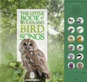 The Little Book Of Woodland Bird Songs - 2848644357