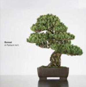 Bonsai - 2855079483