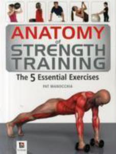 Anatomy Of Strength Training - 2852246400