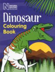 Dinosaur Colouring Book - 2839874550